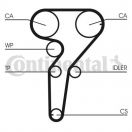 Contitech CT877K3