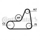 Contitech 6PK1042ELAST