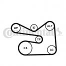 Contitech 6PK1733K3