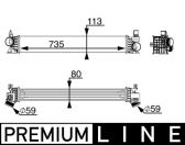 Mahle CI 217 000P