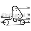 Contitech 6PK1613D1