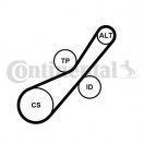 Contitech 6PK800K1
