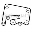 Contitech 6PK2155K1