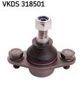 SKF VKDS 318501