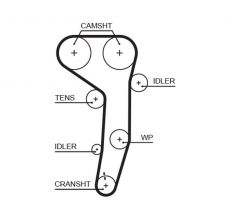 Gates 5607XS - Rozvodový remeň