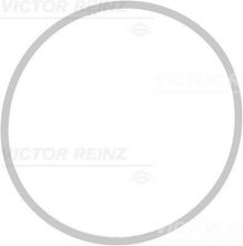 Reinz 71-39409-00 - Tesnenie sacieho potrubia -