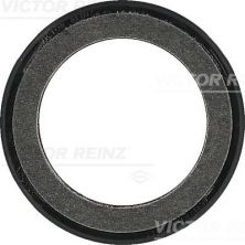 Reinz 81-34316-00 - Tesnenie kľukového hriadeľa -