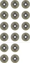 Reinz 12-34836-01 - Tesnenie drieku ventilu