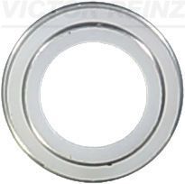 Reinz 70-23062-00 - Tesnenie drieku ventilu