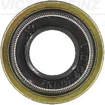 Reinz 70-53924-00 - Tesnenie drieku ventilu