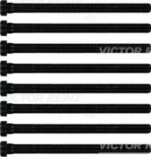 Reinz 14-32196-01 - Sada skrutiek hlavy valcov