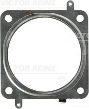 Reinz 71-36469-00 - Tesnenie -