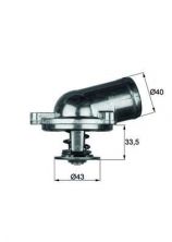 Mahle TI 22 87 - Termostat -