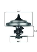 Mahle TX 18 83D - Termostat -