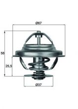 Mahle TX 21 80D - Termostat -