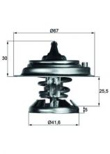 Mahle TX 29 80D - Termostat -