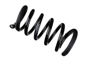 Bilstein 36-219513 - Pruženie