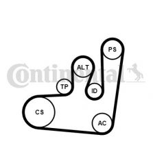 Contitech 6PK1145K1 - Sada klinového rebrovaného remeňa -