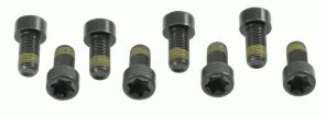 Sachs 1874 000 006 - Sada skrutiek zotrvačníka