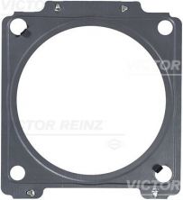 Reinz 71-42093-00 - Tesnenie -