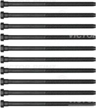 Reinz 14-32384-01 - Sada skrutiek hlavy valcov