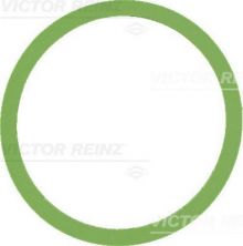 Reinz 41-77647-00 - Tesnenie sacieho potrubia