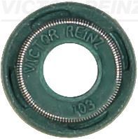 Reinz 70-53991-00 - Tesnenie drieku ventilu