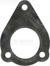 Reinz 71-33841-00 - Tesnenie -