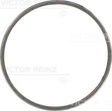 Reinz 71-39639-00 - Tesnenie -