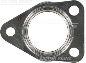 Reinz 71-42072-00 - Tesnenie -