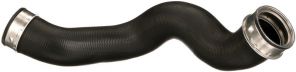 Gates 09-0423 -  -