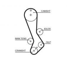 Gates 5282XS - Rozvodový remeň