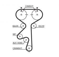 Gates 5408XS - Rozvodový remeň