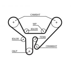 Gates 5518XS - Rozvodový remeň