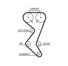 Gates 5528XS - Rozvodový remeň