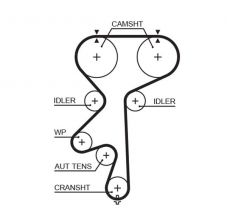 Gates 5542XS - Rozvodový remeň