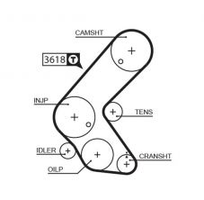 Gates 5563XS - Rozvodový remeň