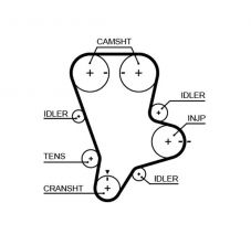 Gates 5644XS - Rozvodový remeň