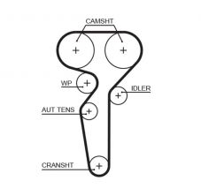 Gates 5685XS - Rozvodový remeň