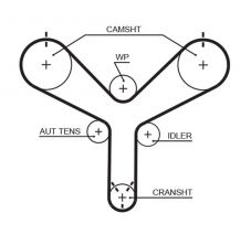 Gates T298 - Rozvodový remeň