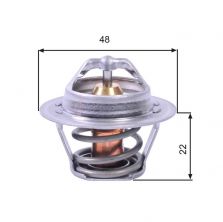 Gates TH00391G1 - Termostat -