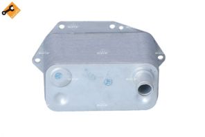 NRF 31307 -  -