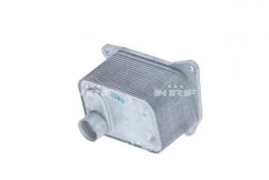 NRF 31358 -  -