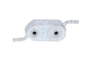 NRF 31364 -  -