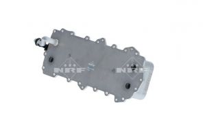 NRF 31806 -  -