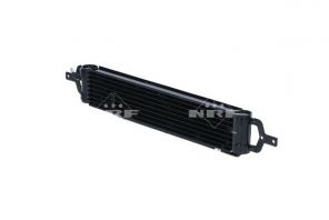 NRF 31809 -  -