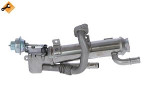 NRF 48311 -  -