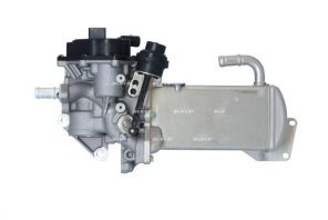 NRF 48202 - Ventil AGR/EGR -