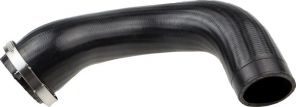 Gates 09-0365 -  -