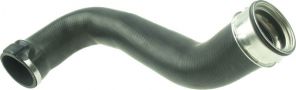 Gates 09-0315 -  -